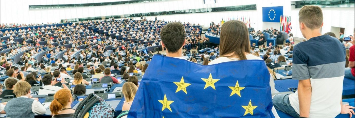 Traian Basescu banner