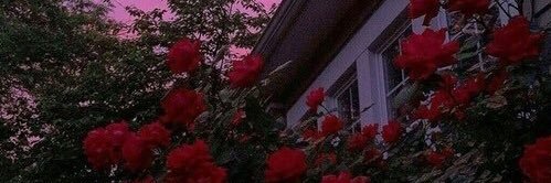 JenssanK's profile banner image
