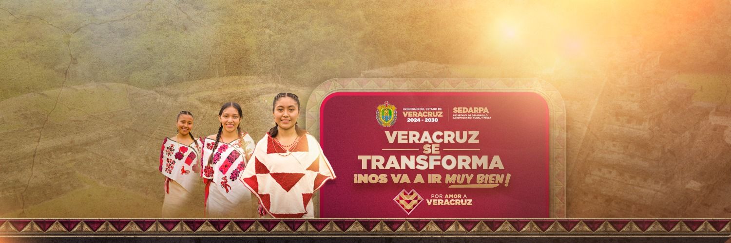 Desarrollo Agropecuario, Rural y Pesca de Veracruz banner
