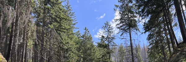 tonedstoner Profile Banner