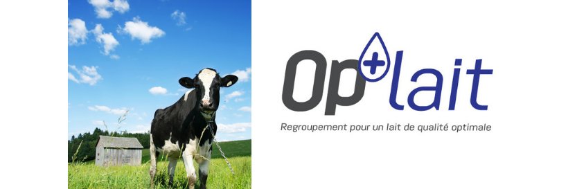 Op+lait banner