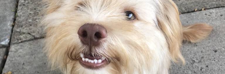 sarahnaughtonES's profile banner image