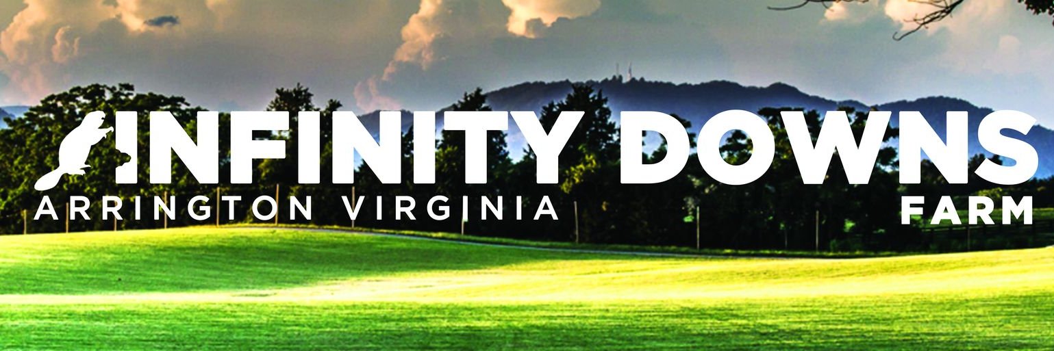 infinitydownsVA's profile banner image