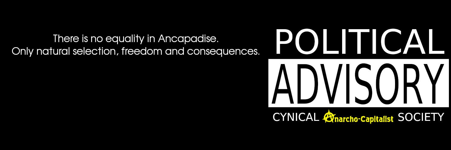 CynLibSoc's profile banner image