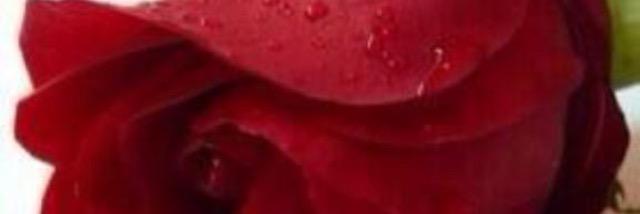 hem2005's profile banner image