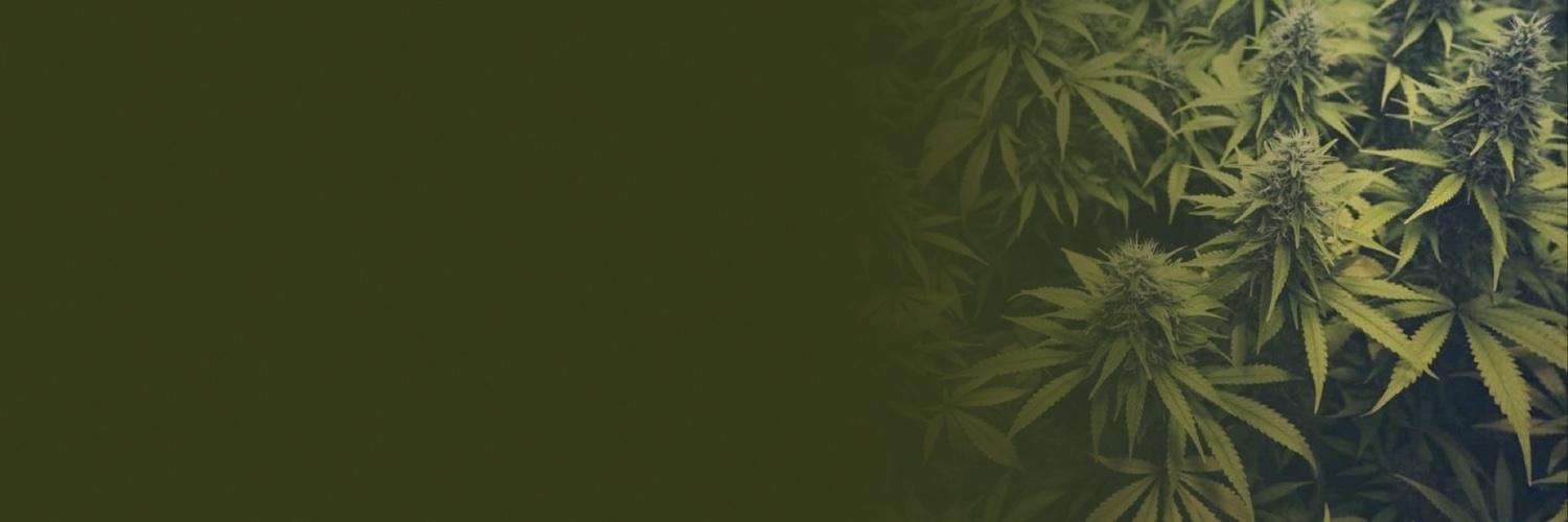 Green Acre Capital Profile Banner