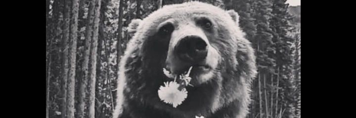 ASLI⁰⁰⁰⁹ banner