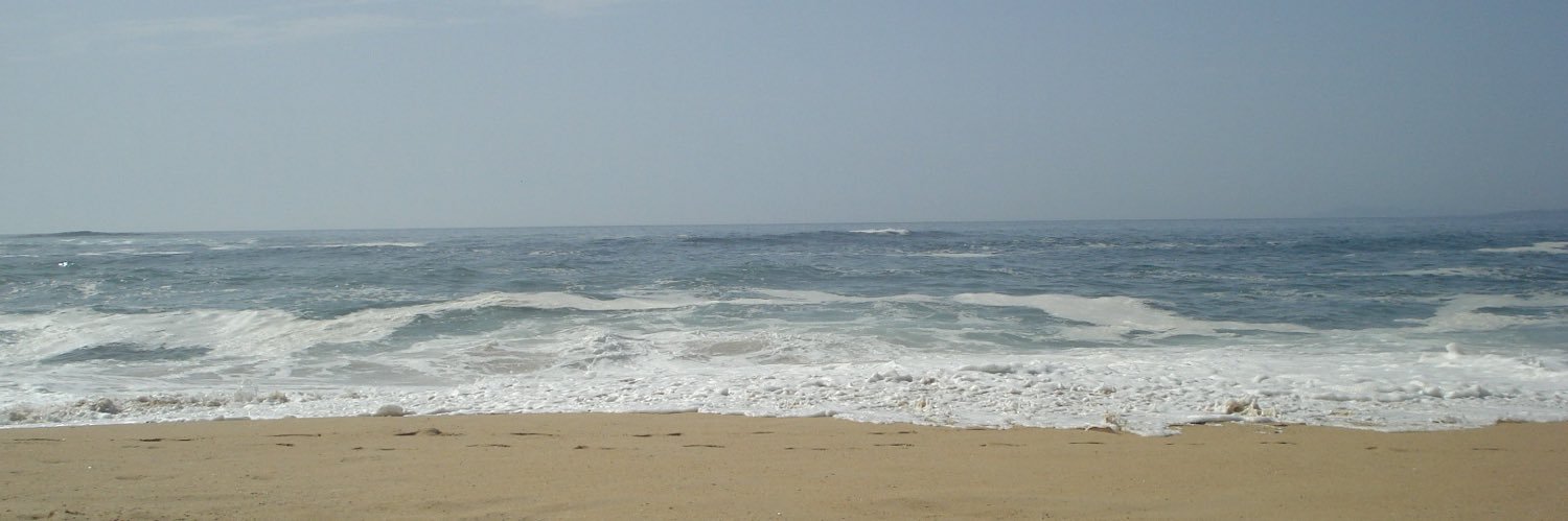 luciiiiard's profile banner image
