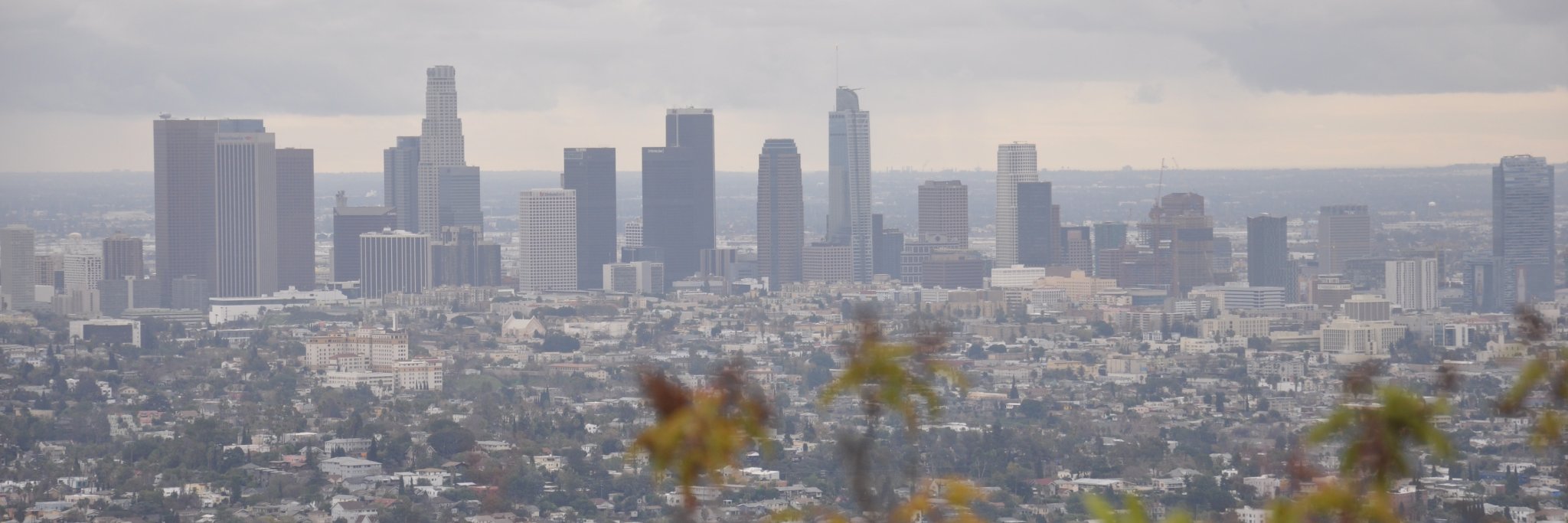 Ann-Katrin Johansson banner
