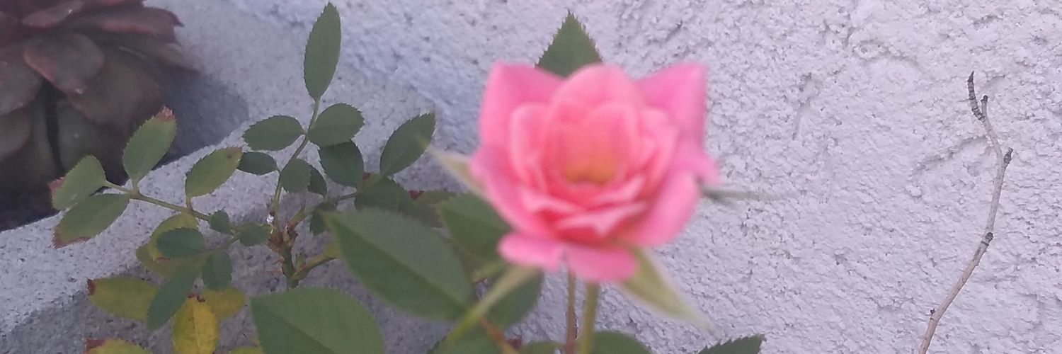 simonepampam's profile banner image