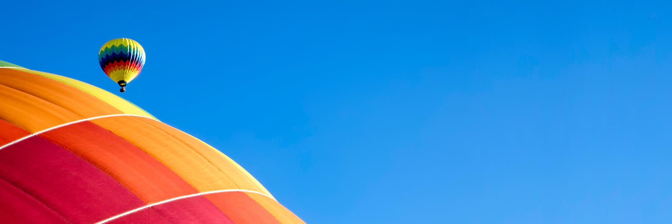 Michelle McCoy Schmidt banner