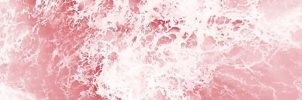 Liv ✨ banner