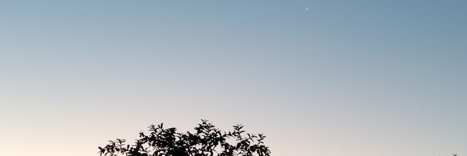 SagrilloManu's profile banner image