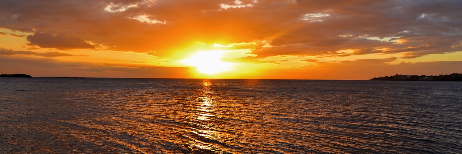 Brian Gorbett banner