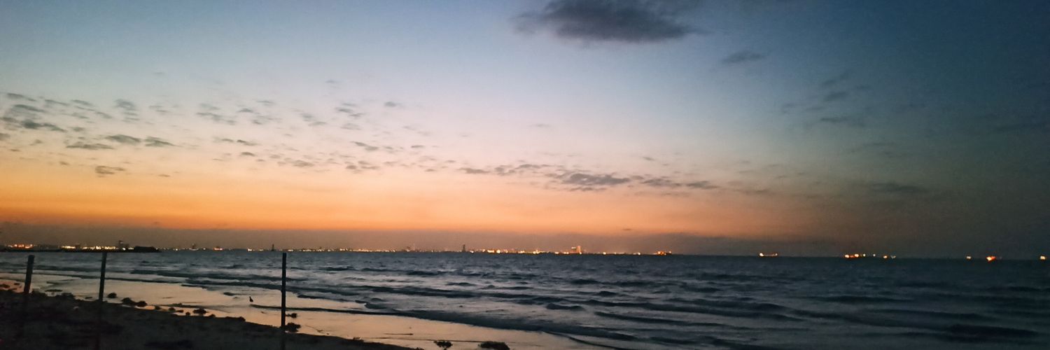 Anahí Camarillo banner