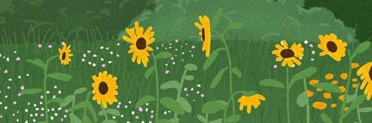 nattywawa's profile banner image