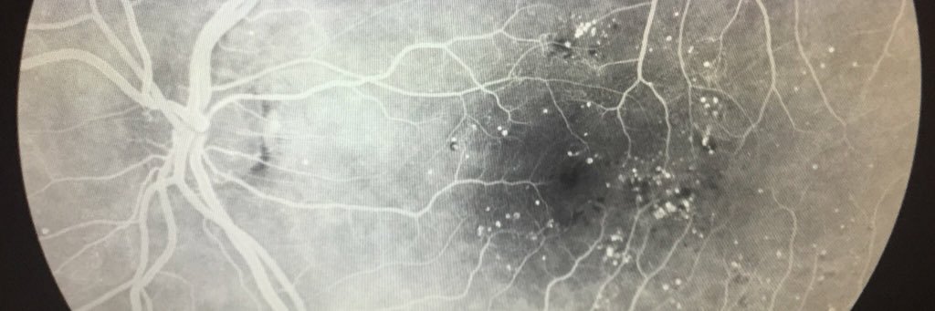 Michael Klufas banner