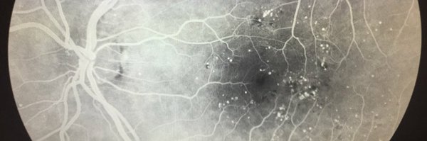 NJRetinaDoc Profile Banner