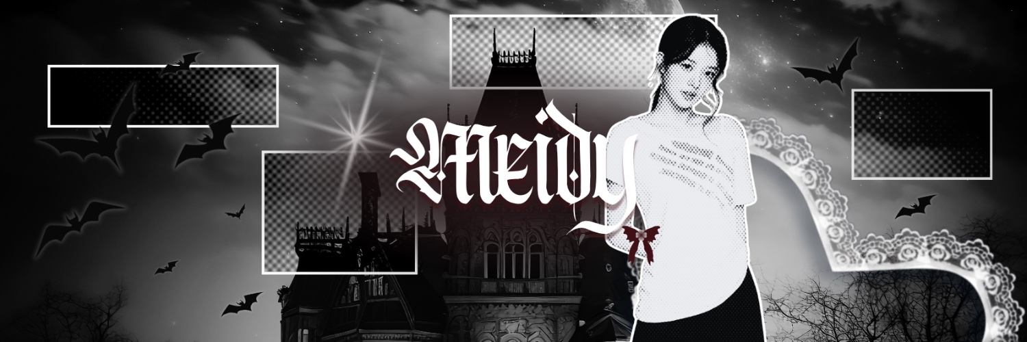 MeidyThings's profile banner image