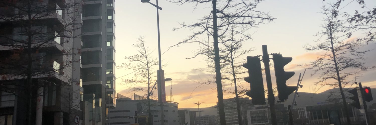 faustinakamara's profile banner image