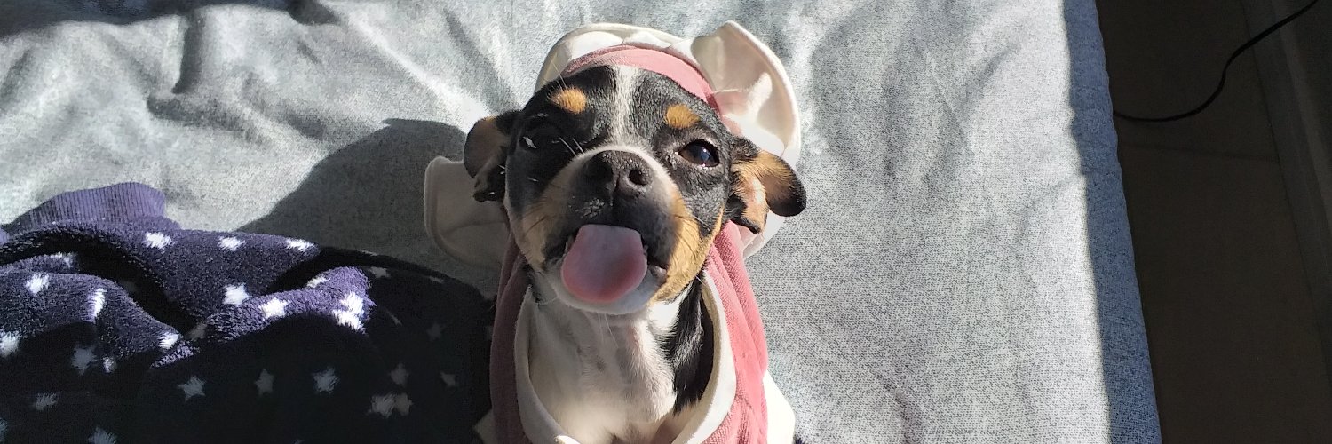 dcogr's profile banner image