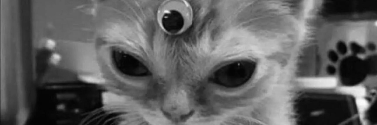 sophiigee's profile banner image