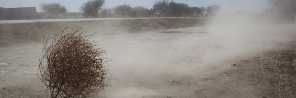 beatriz_sender's profile banner image