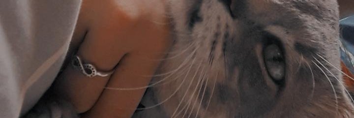 evefigue's profile banner image