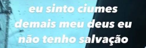 ribeiro banner