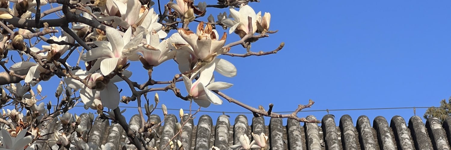 七侠镇首富达掌柜 banner