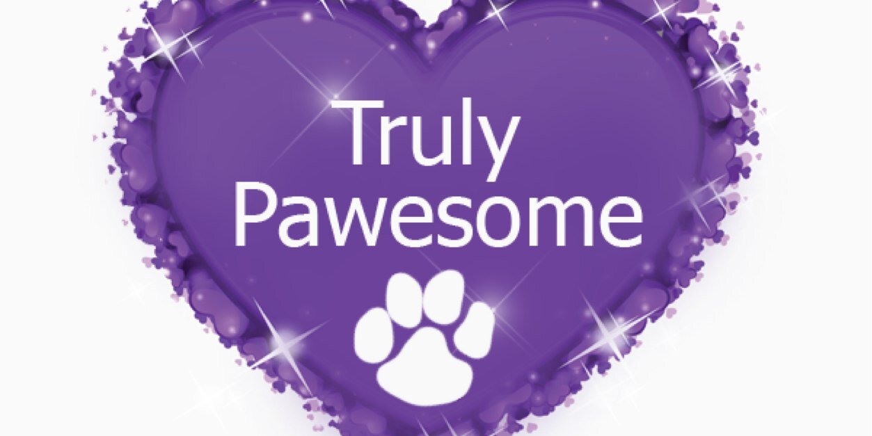 PawesomeFamily's profile banner image