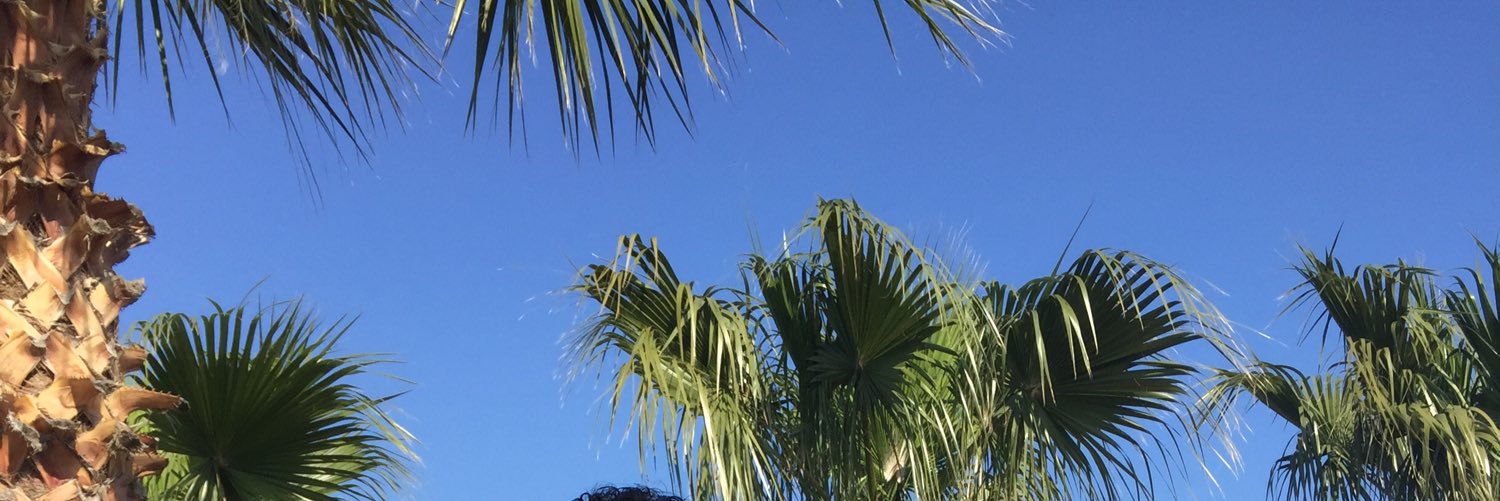 alicanapari's profile banner image