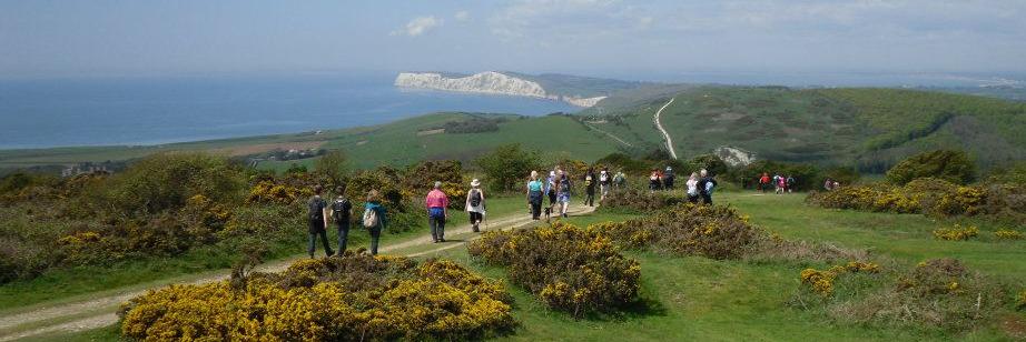 David Goodall banner