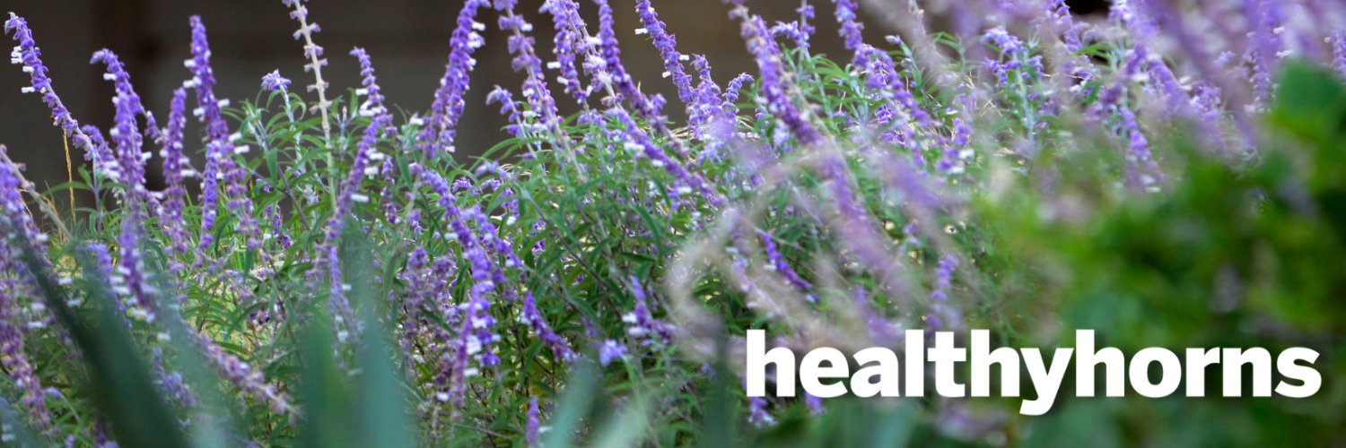 Healthyhorns's banner