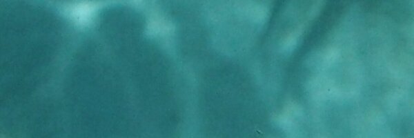 RonKoz Profile Banner