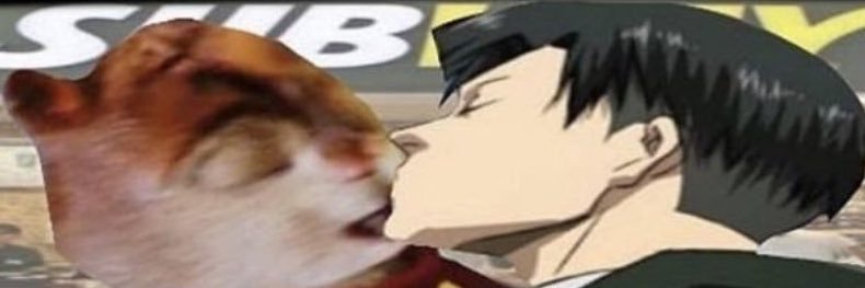 boochieboofer's profile banner image