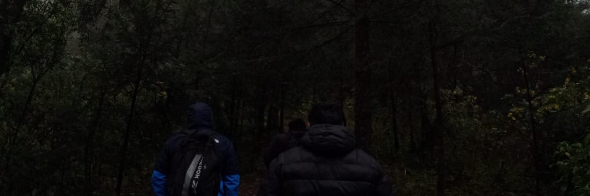 AmaralGaray's profile banner image