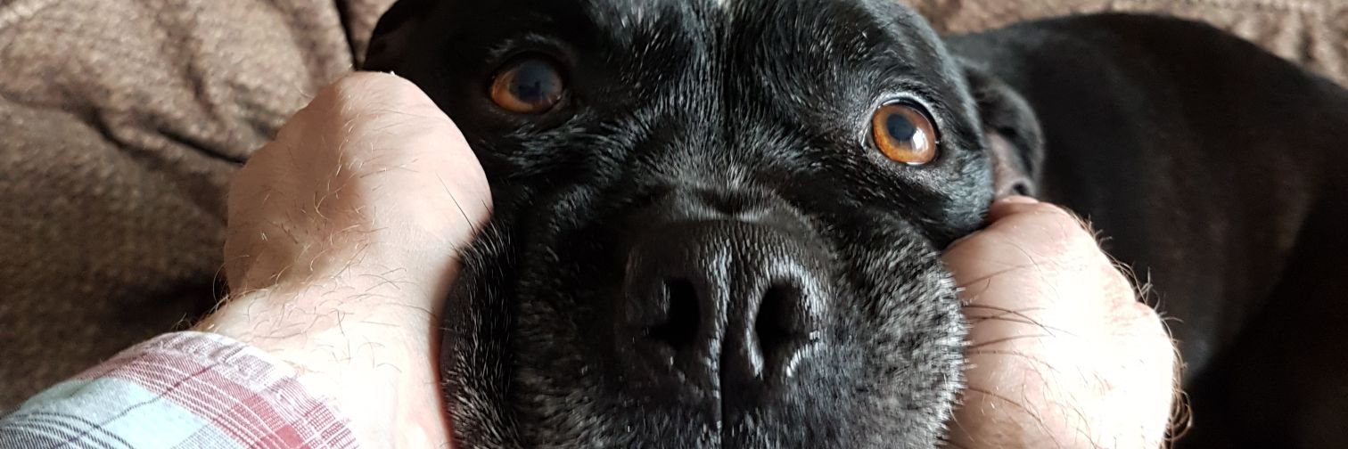 DaveJFerris banner