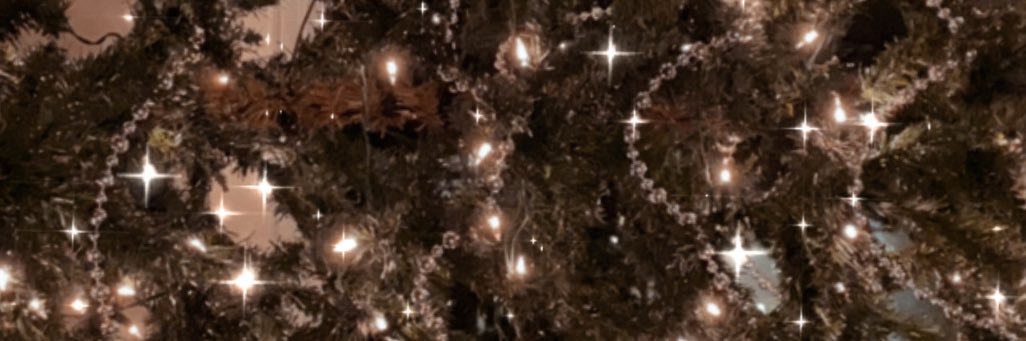 coyotee_red's profile banner image