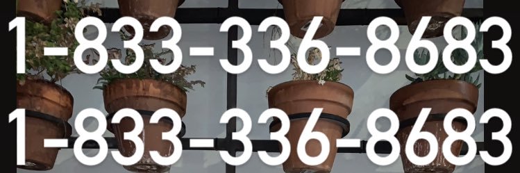 roman papademetriou banner