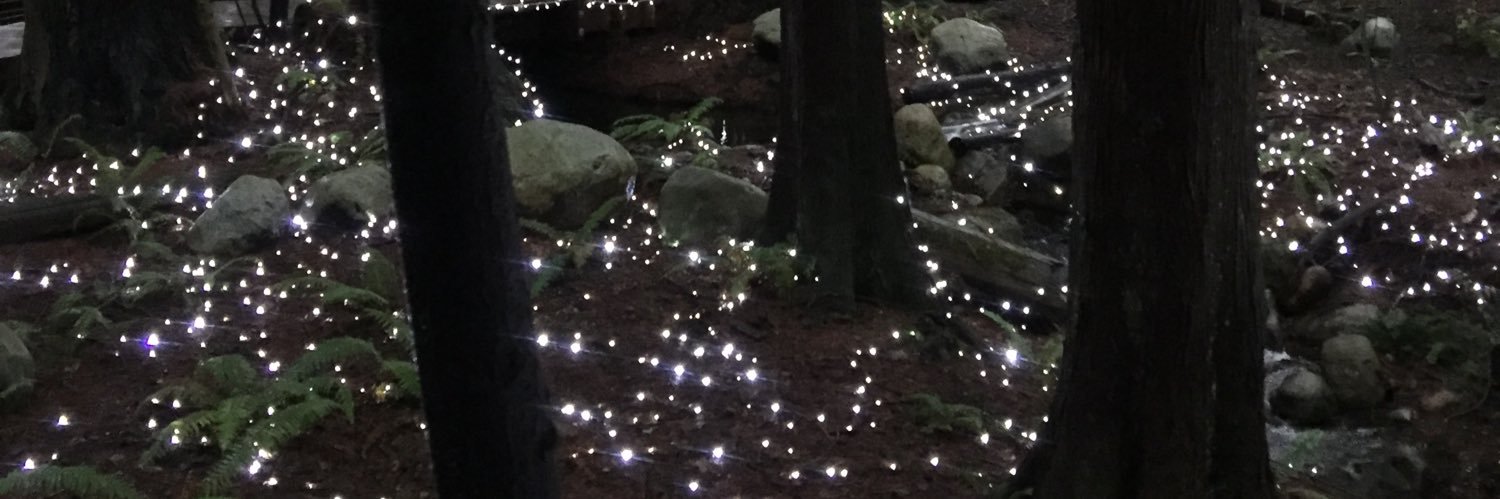 PatriciaLKellyS's profile banner image