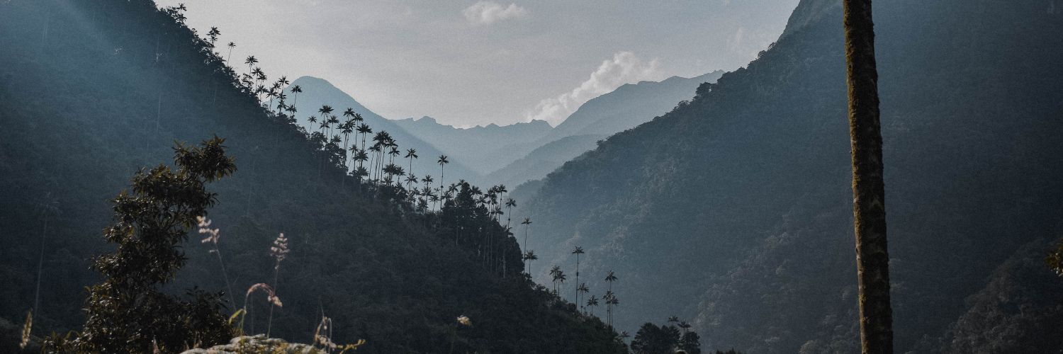 peromalohablar's profile banner image