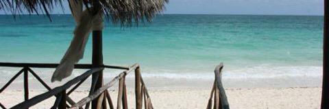 Mrs_Paternoster's profile banner image