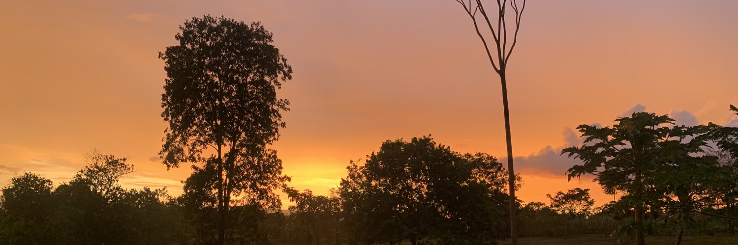 Mó💜 banner