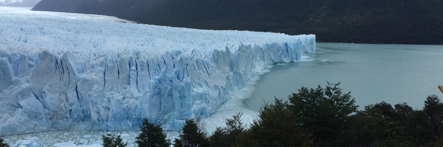 Fernanda Pires banner