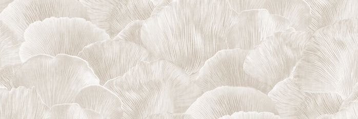 katmross4's profile banner image