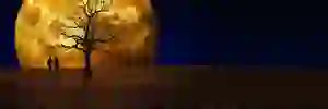 Made_To_Be_A's profile banner image