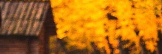 bakinggent's profile banner image