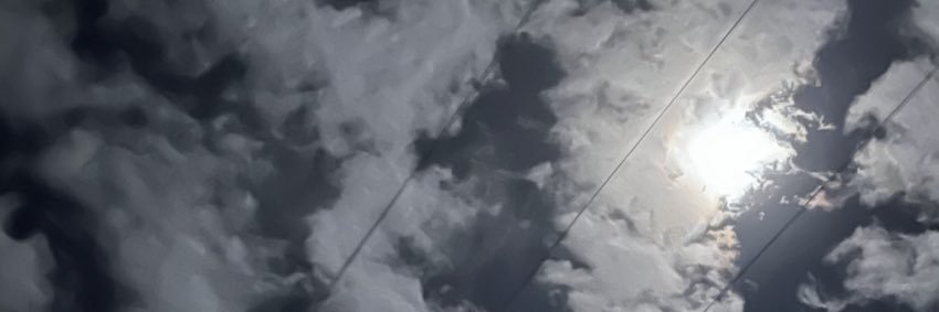 sarahffernandez's profile banner image