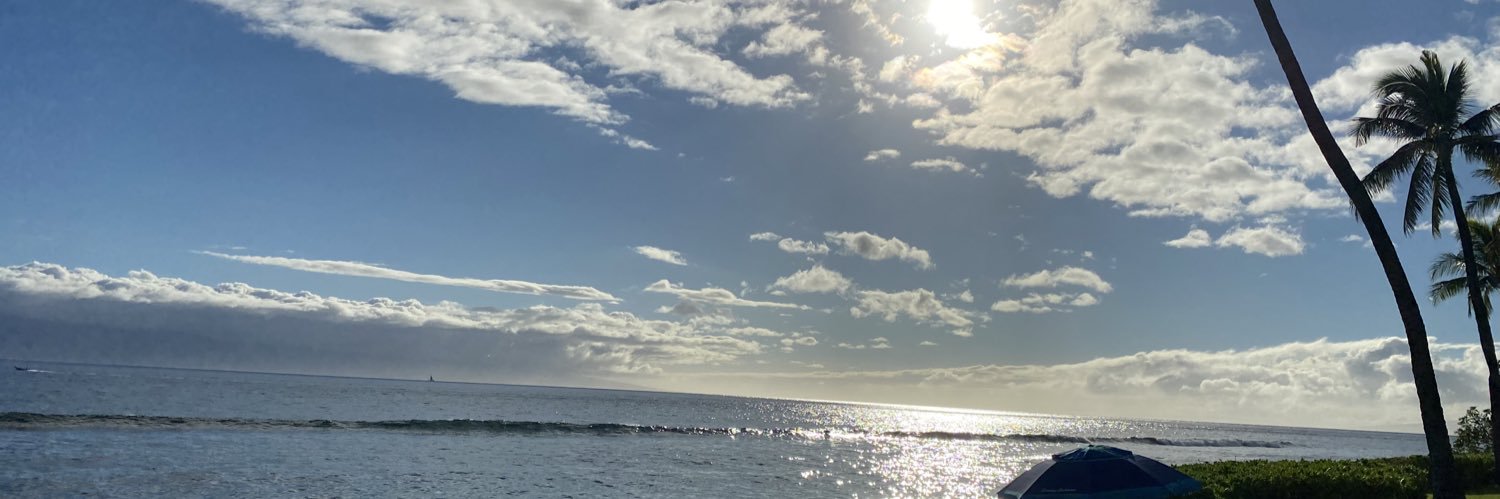 Breiana Snowden banner